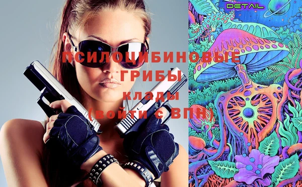 хмурый Арсеньев
