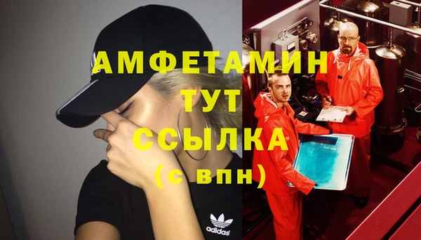 хмурый Арсеньев