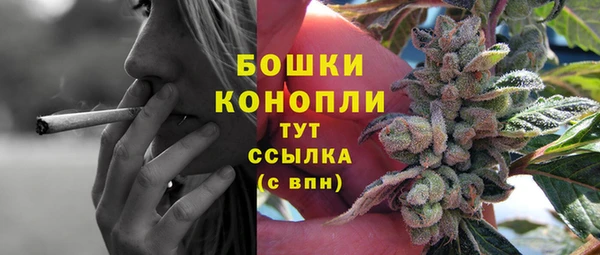 хмурый Арсеньев