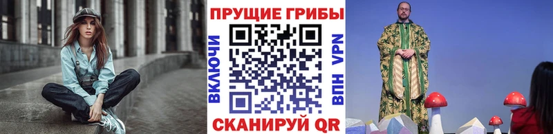 Псилоцибиновые грибы Psilocybe Покров